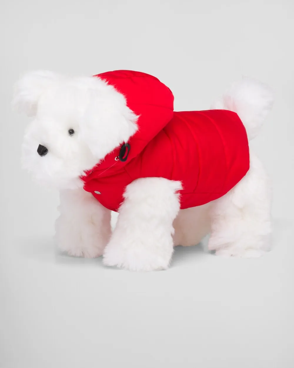 Mujer/Hombre Prada ACCESORIOS PARA MASCOTAS|ACCESORIOS PARA MASCOTAS^Abrigo Acolchado De Re-nylon Con Capucha