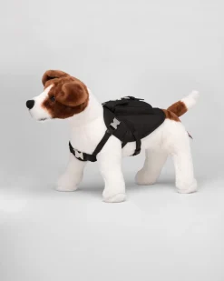 Mujer/Hombre Prada ACCESORIOS PARA MASCOTAS|ACCESORIOS PARA MASCOTAS^Arnés De Re-nylon